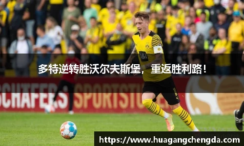 hth华体会体育