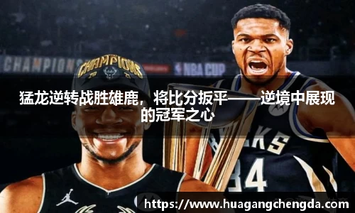 猛龙逆转战胜雄鹿，将比分扳平——逆境中展现的冠军之心