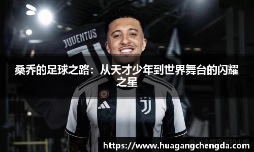 hth华体会