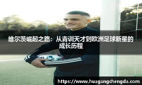 hth华体会官网