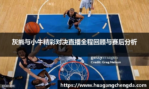灰熊与小牛精彩对决直播全程回顾与赛后分析