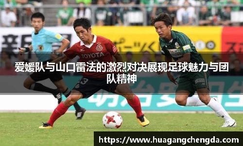 hth华体会官网