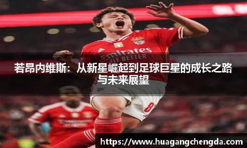 hth华体会体育