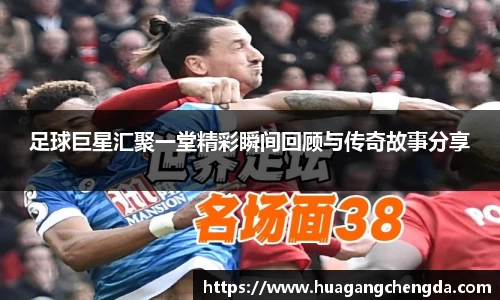 hth华体会体育